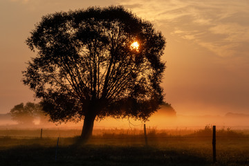 Fototapeta Poranek z mgłami obraz