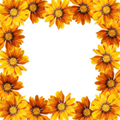 Beautiful floral background of yellow flowers 