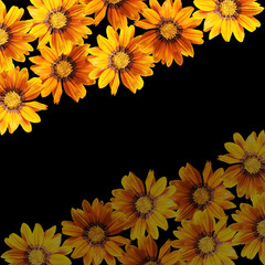 Beautiful floral background of yellow flowers 