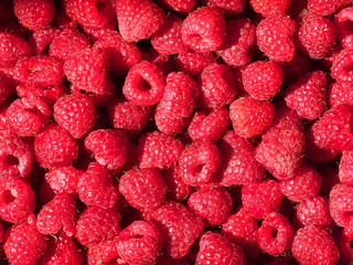Perfect fresh and sweet red raspberries, food background. Healthy food organic nutrition. Rubus idaeus fruit. Bright natural delicious background of many ripe juicy fragrant raspberry berries 