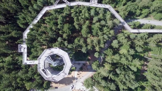 Treetop walkway and observation tower, overlooking Lake Lipno and South Bohemia 
