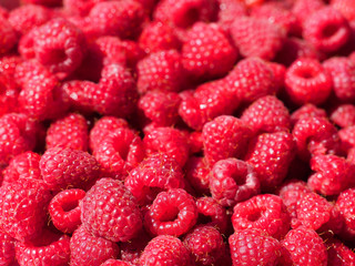 Perfect fresh and sweet red raspberries, food background. Healthy food organic nutrition. Rubus...