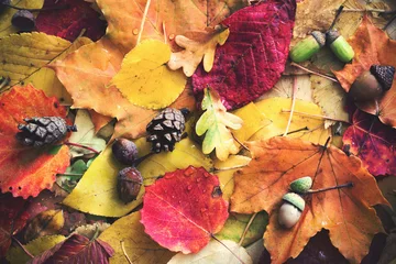Deurstickers autumn leaves with water drops © Maya Kruchancova