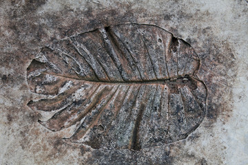 Leaves mold
