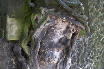 Historic Statue on the mystery old Prague Cemetery, Czech Republic
