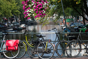 Fototapeta na wymiar Summer flowers on the Amsterdam canals, Netherlands