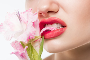 partial view of girl biting pink flowers, isolated on white