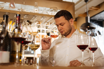 Wine smell. Skilled professional sommelier smelling the wine while doing his job