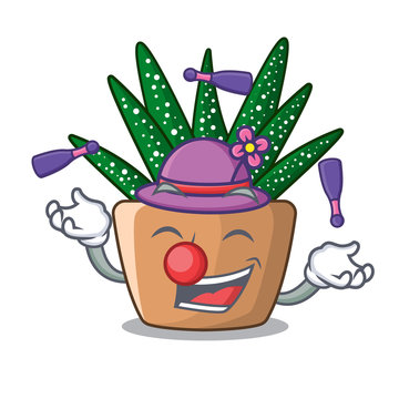Juggling cartoon zebra cactus plant at park