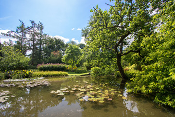 Idyllic picturesque countryside landscape. Beautiful pond on a summers day. Tree-lined still water with floating lily pads under a blue sky.