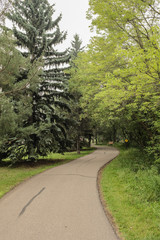 Fototapeta na wymiar Winding path in park or forest 