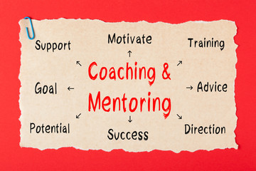 Coaching and Mentoring Diagram