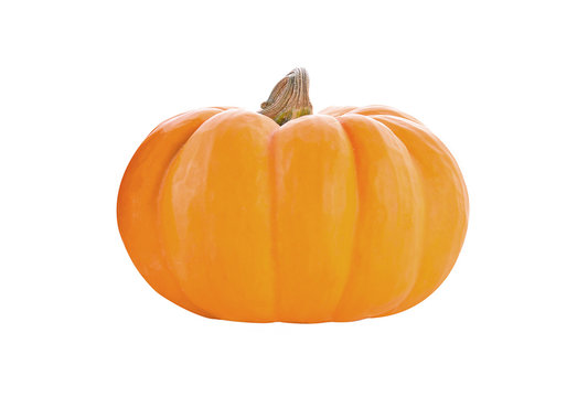 Pumpkin isolated on white background.