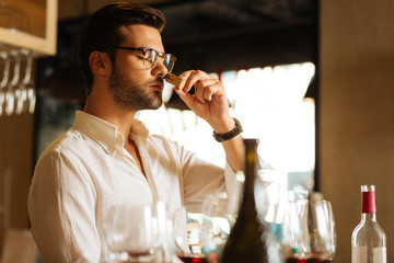 Is it natural. Professional skilled sommelier smelling a wine bottle cork while checking how natural it is - obrazy, fototapety, plakaty