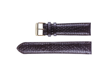 The watchstrap isolated