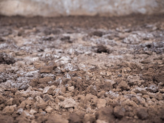 Working on the production of natural sea salt. Production of sea salt in the Bali,Indonesia. Salt...