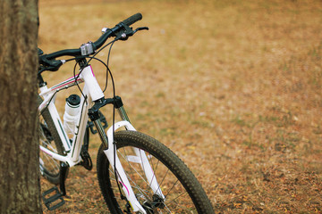 Fototapeta premium White and pink bicycle staying close to the tree in park on a lovely autumn/fall day. Outdoors, yellow leaves and grass.