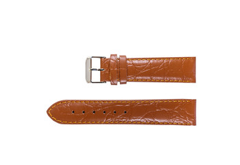The watchstrap isolated