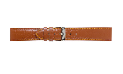 The watchstrap isolated