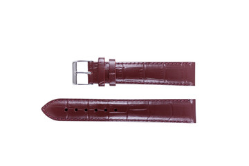 The watchstrap isolated