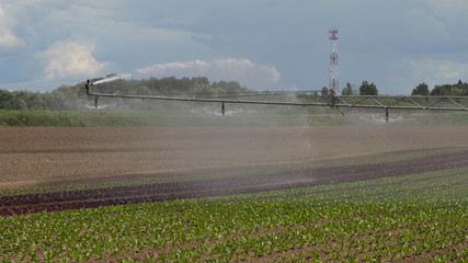 Fototapeta na wymiar Aerial view: Crop Irrigation using the center pivot sprinkler system. An irrigation pivot watering salad, lettuce field. Irrigation system watering farm field.
