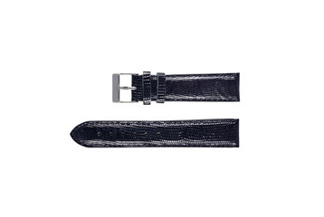 The watchstrap isolated