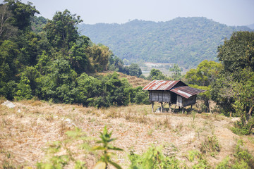 Natural and rural areas in the country, Thailand has many trees and a waterfall.