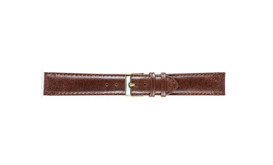 The watchstrap isolated