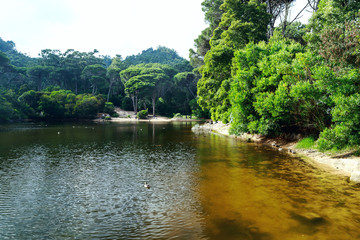 Valley of the lakes at the park of pena