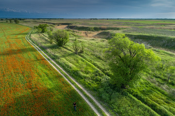 A beautiful view of the forest, fields and river from above. Drone photography of the city