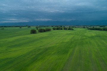 Fototapeta na wymiar Green field aerial view