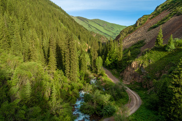 Obraz premium Aerial view of countryside road passing through the lush greenery and foliage forest, mountain landscape