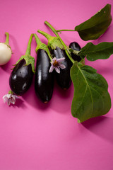 Fresh black eggplants