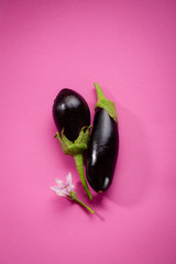 Two fresh black eggplants