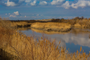 autumn landscape on the river