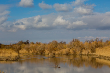 autumn landscape on the river