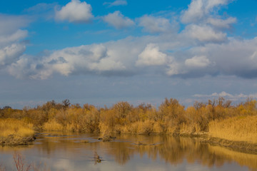 Fototapeta na wymiar autumn landscape on the river