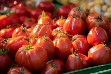 Tomaten