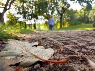 Autumn walk with kids