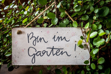 Bin im Garten
