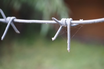 barbed wire fence