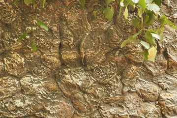 wall with an unusual design