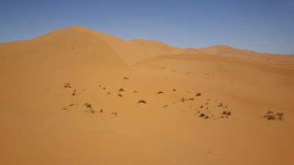 Fototapeta na wymiar The dunes of Erg Chebbi in Morocco