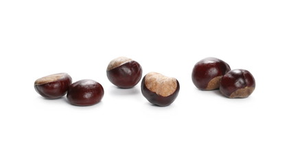 Wild chestnuts isolated on white background