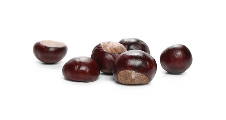 Wild chestnuts isolated on white background