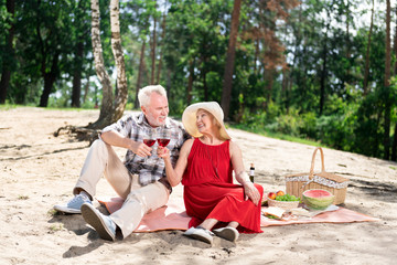 Clanging glasses. Aged couple clanging their glasses with red wine during picnic while sitting on the sand