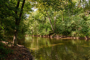 Fototapeta na wymiar Banks of the Shenandoah River