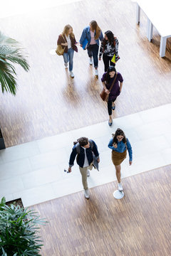 Male and female university students walking and talking in university lobby, high angle view