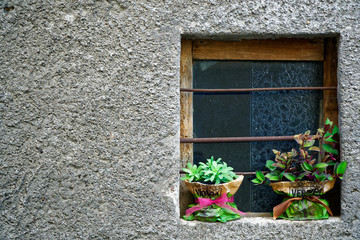 Vintage windows with steel mesh and decorative flowers