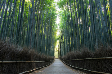 Arashiyama, Kyoto